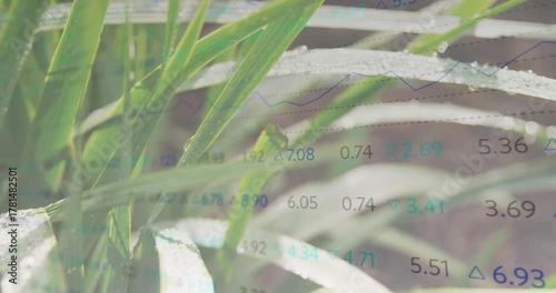 Narrow leaf clump shifting from breeze and camera pull, data overlay scrolling showing dew beads