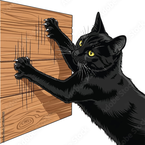 a black cat give a damage to a wood