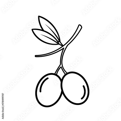 Olive Branch Outline Icon with Two Fruits and Leaves Symbolizing Nature and Health