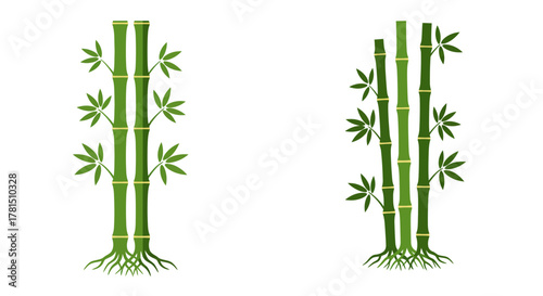 Bamboo Stalks Green Tropical Asian Plant Vector Illustration