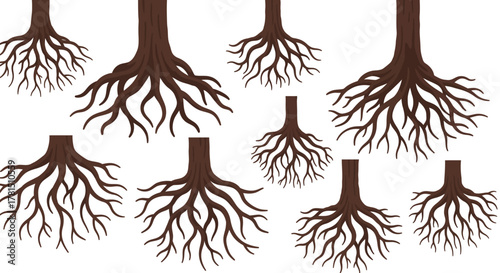 Rooted Network A Visual Exploration of Connectivity and Foundations