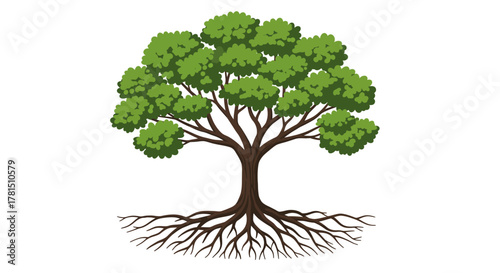 Detailed Tree Illustration with Exposed Roots and Lush Green Canopy