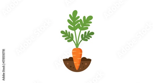 Vibrant Carrot Growing in Soil A Fresh and Healthy Vegetable Illustration for Organic Farming Concepts
