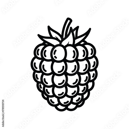 Black outline raspberry fruit with leaves food healthy