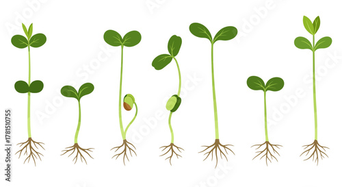 Illustration Set of Young Plants Sprouting with Roots for Spring or Gardening Theme