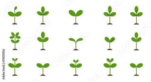 Diverse Sprout Collection A Botanical Array of Seedlings