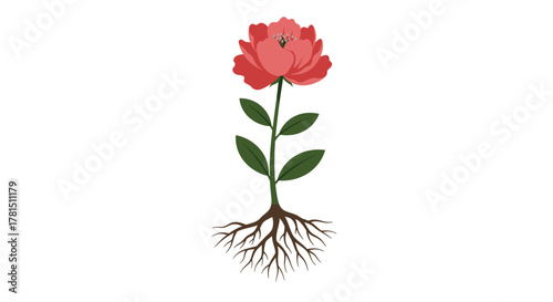 A Symbolic Flower with Roots Blossom, Growth, and Connection