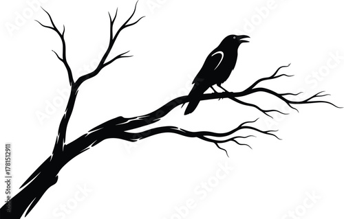 Raven perched a bare branch, a symbol of mystery, magic, and prophecy in folklore and literature
