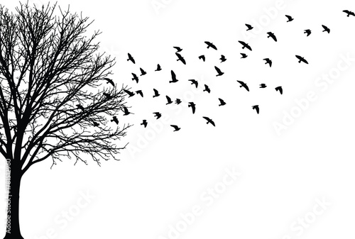 Silhouette of a bare tree with birds flying away, creating a stark and evocative contrast