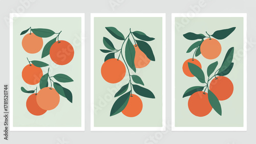 Three minimalist abstract illustrations of orange branches with leaves Keywords: orange, fruit, branch, leaf, illustration, abstract, minimalist