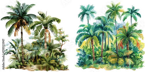 lush tropical rainforest watercolor vector illustration