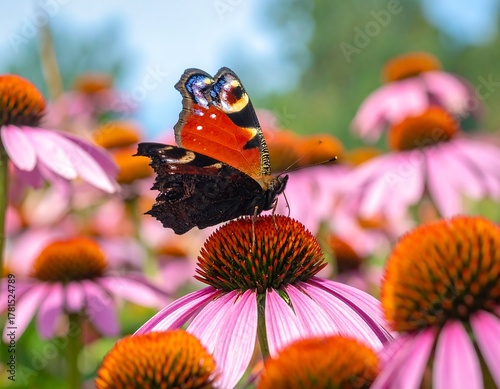 A vibrant butterfly with intricate wing patterns rests on the purple petals of a flower, surrounded by more flowers