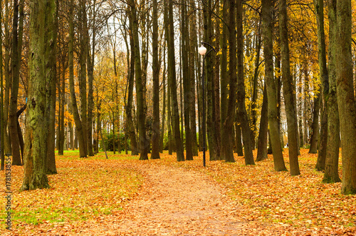 Autumn park in october.Autumn landscape.