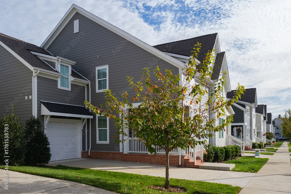 Obraz premium Modern Southern American Townhomes