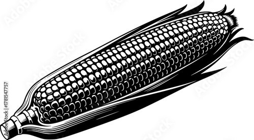 Illustration of corn, isolated on the white. Black vector silhouette, EPS version.