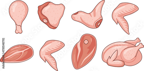 Set of eight raw chicken meat illustrations showing distinct cuts including drumstick, breast, wing, thigh, and whole chicken