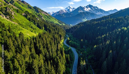 Serpentine Mountain Road Winds Through Lush Green Pine Forests Under a Bright Blue Sky with Snow Capped Peaks in the Distance