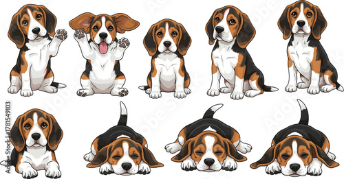 Set of nine cartoon beagle puppy illustrations showing cute poses, playful expressions, and relaxed moods in vector dog art