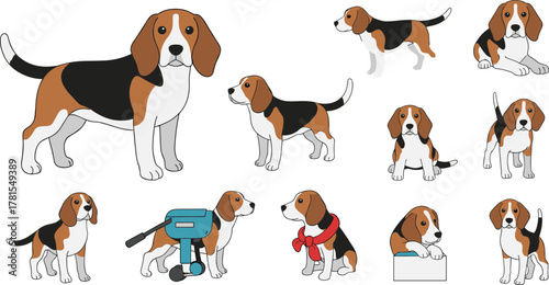Set of ten cartoon Beagle dog illustrations showing playful poses, expressive actions, and character scenarios in vector art style