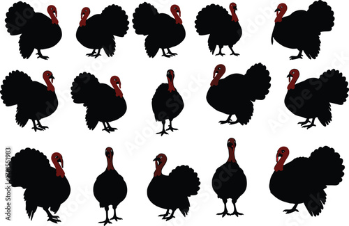Turkey silhouette collection, red head birds, wildlife vector set, Thanksgiving animal poses, cad drawing flat vector illustration