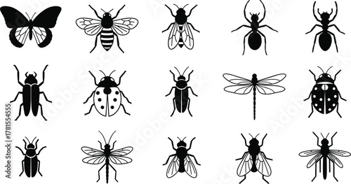 Flat vector illustration of 15 insect silhouettes including butterfly, bee, ant, beetle, dragonfly, fly and bug species in grid
