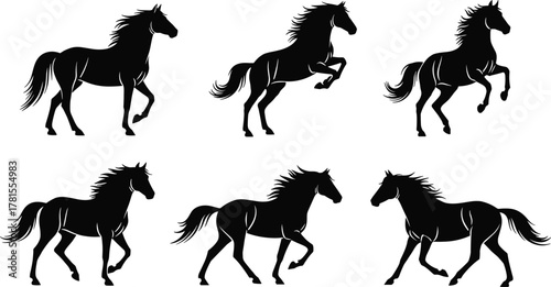 Flat vector illustration of six horse silhouettes in dynamic poses, showcasing movement, elegance, anatomy, and equestrian grace for design