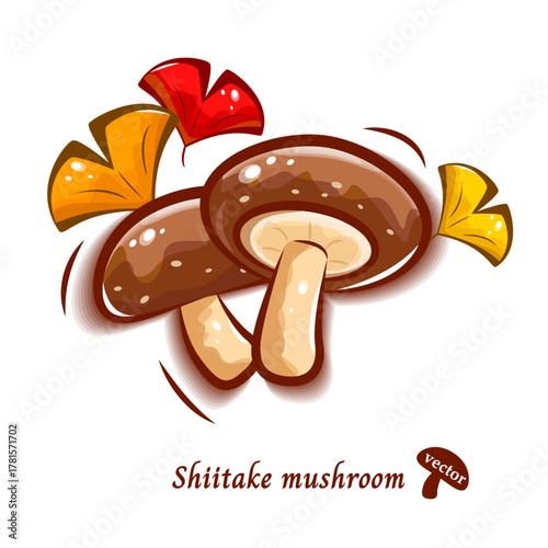 椎茸のかわいいイラスト｜きのこのポップアート