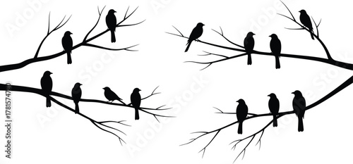Bird silhouettes on tree branches, perched bird vector set, black nature design, wildlife illustration, forest scene, minimal silhouette art