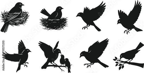 Bird silhouettes, nest and branch poses, flying birds, nature vector set, black illustration, avian behavior, perched birds, wildlife art