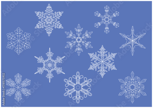 雪の結晶(白)10種 繊細な雪の結晶を描きました イラスト ベクター