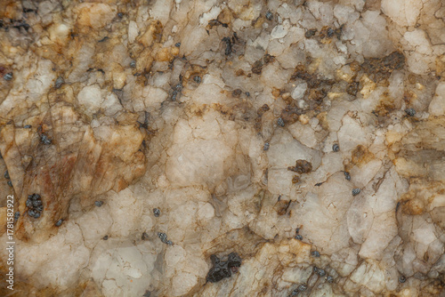 High-resolution natural quartzite rock texture with crystals and pill bugs