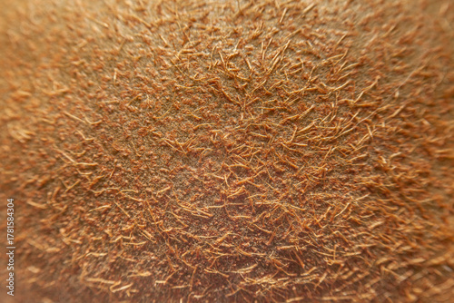 Kiwi skin texture, macro close-up of fuzzy brown fruit peel