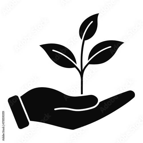 Hand holding a young plant sprout, symbolizing growth and new life