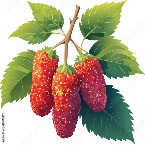 Branch with multicolor mulberries encouraging youth to explore nature, observe fruit stages, and learn healthy food values.
