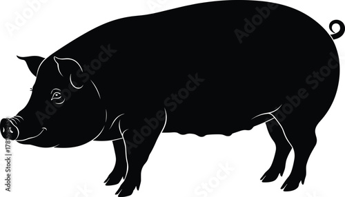 Pig silhouette in side profile view, livestock animal concept, cad drawing flat vector illustration, farm branding, agriculture reference design