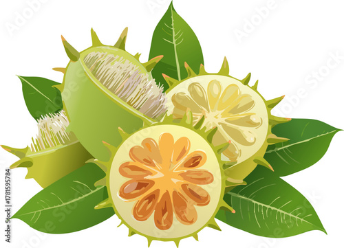 Yellow rambutan with spines and bright leaves, supporting lessons on ripening cues, freshness, and responsible food choices for children and teens.
