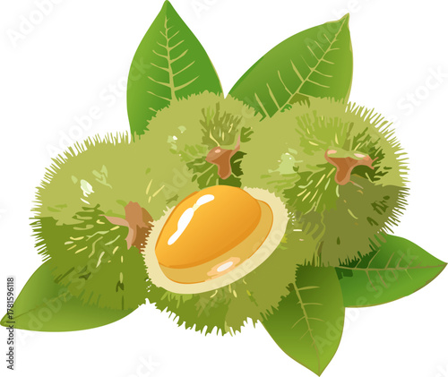 Friendly rambutan vector reinforcing inclusive food literacy, celebrating cultural dishes while emphasizing safety, cleanliness, and mindful tasting.
