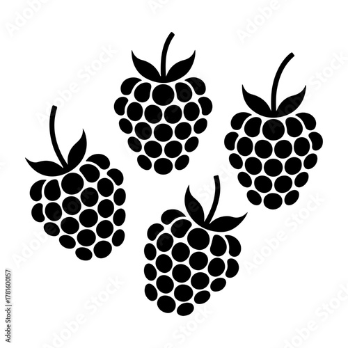 Four raspberries are shown in a black silhouette