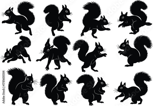 Squirrel silhouette collection, dynamic poses, bushy tails, leaping, standing, playful icons, nature wildlife shapes, flat vector illustration