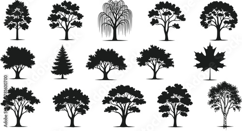 Tree silhouette collection, diverse species, foliage shapes, nature icons, forest elements, black botanical forms, flat vector illustration, design asset