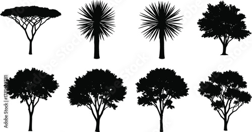 Tree silhouette set, diverse canopy shapes, foliage styles, black icons, botanical forms, landscape design elements, flat vector illustration
