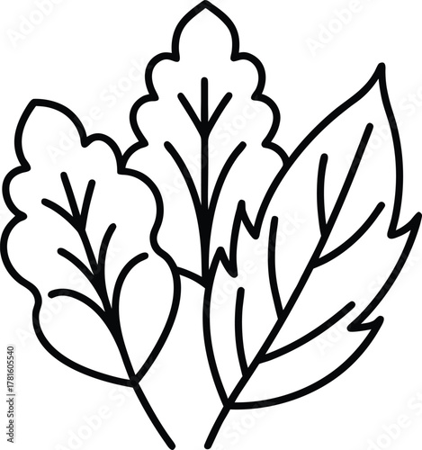 Leafy Greens and Herbs Line Art Transparent Background