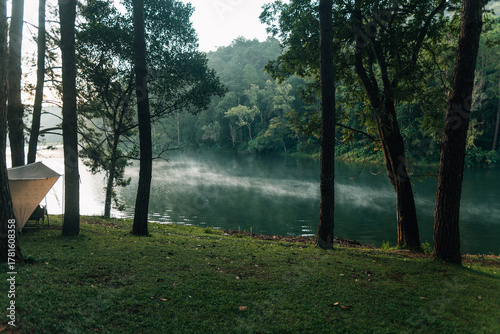 Tent camping area, pine trees by the water with morning light