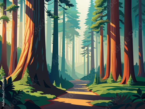 dense forest with large and tall trees