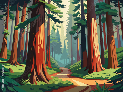 dense forest with large and tall trees