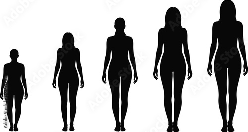 Female body height comparison silhouette illustration, diverse women figures chart, anatomy reference for design, fashion and proportional study graphic