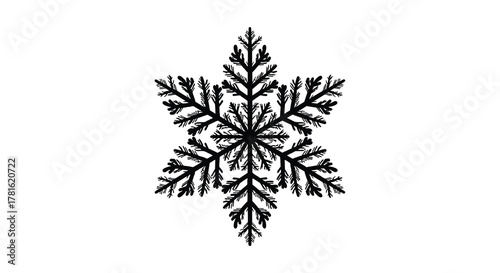 Intricate black snowflake silhouette design with delicate branching patterns on a white background