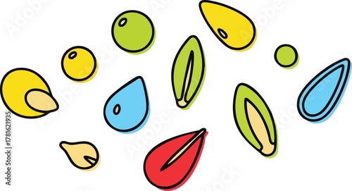 Colorful assortment of seeds and berries in a scattered pattern