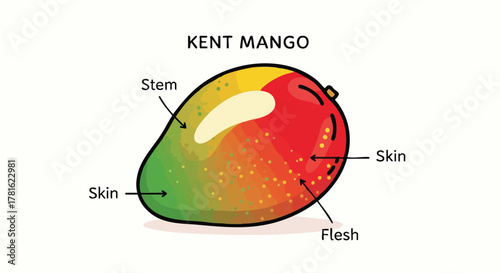 Pixel Art Kent Mango With Labeled Parts Including Stem Skin And Flesh