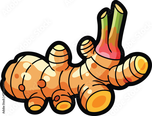 Illustration Of A Single Ginger Root With Green Sprouts Isolated On A White Background